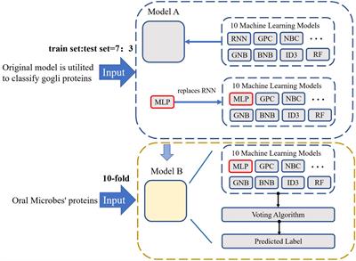 Oral_voting_transfer: classification of oral microorganisms’ function proteins with voting transfer model